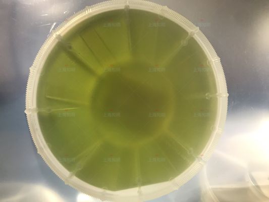 Αγορά 4inch 6Inch 4h-ν 500mm πρωταρχικός πλαστός βαθμός υποστρωμάτων καρβιδίου SIC του πυριτίου γκοφρετών 350um SIC ηλεκτρονική κατασκευή